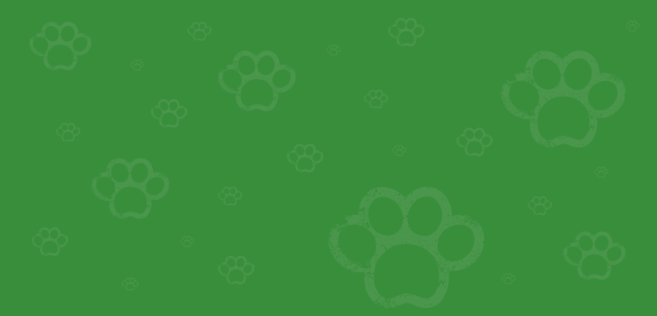 fondo verde huellas animal